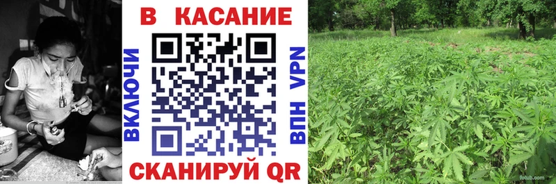 Какие есть наркотики Цивильск АМФ КОКАИН ГАШ МАРИХУАНА