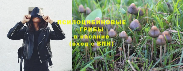 a pvp Алексеевка