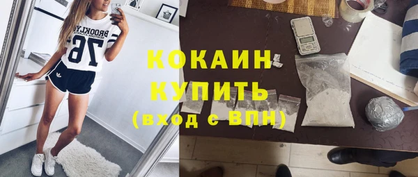 винт Алексин