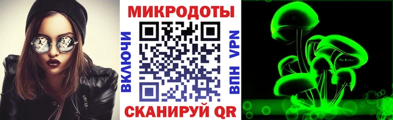 Псилоцибиновые грибы мухоморы  цена   кракен вход  Цивильск 